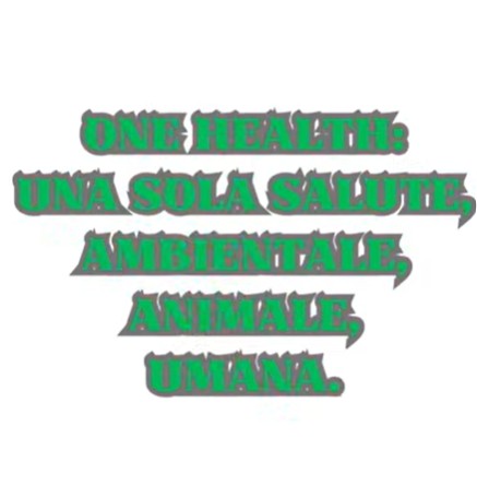 One Health – Uomo, Animale, Ambiente. Una sola salute.